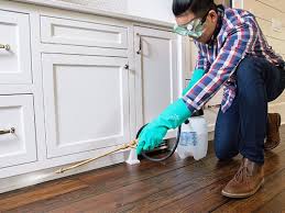 Best Residential Pest Control  in Weldon, CA